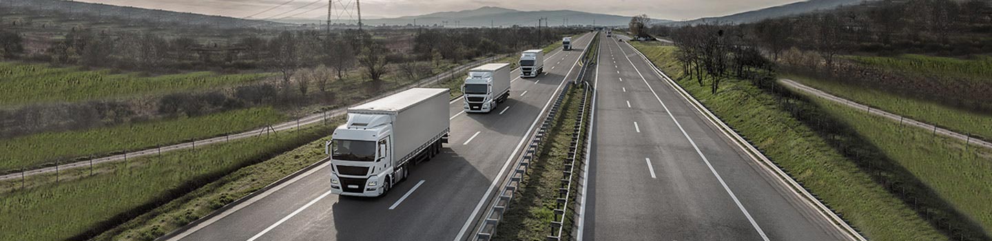 Last Mile Delivery Channels